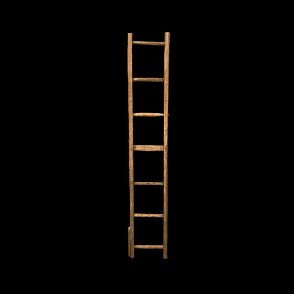 0010039 - Tree Ladder