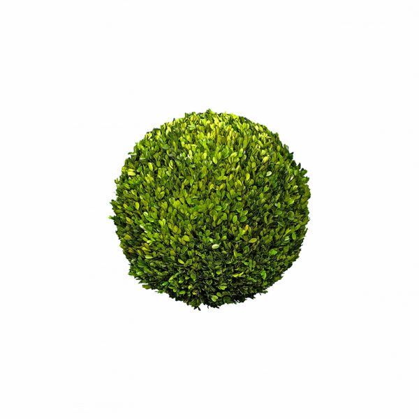 0020020 - 16 Inch Preserved Boxwood Balls