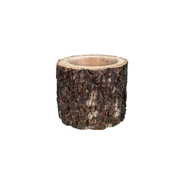 0270020 - Small Oak Bark Cylinder
