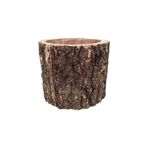 0270022 - Large Oak Bark Cylinder