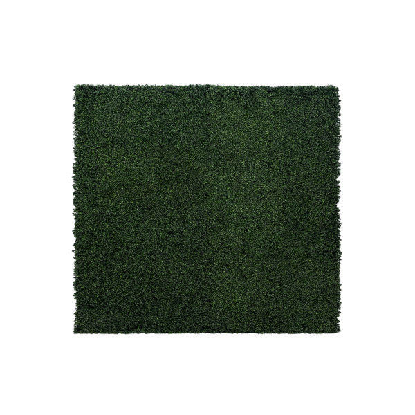 0690007 - Boxwood Wall