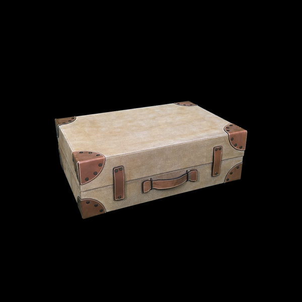 9990070 - Camel Canvas and Leather Fossil Display Trunk